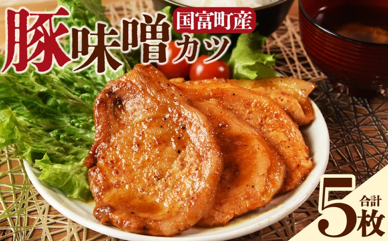 ＜国富町産 豚味噌カツ 5枚＞入金確認後、翌月末迄に順次出荷【国富産 豚肉 味噌味 味噌漬け みそ 豚味噌漬け 豚肉 ポーク おかず 一品 お弁当 焼くだけ 簡単調理 ロース肉 お肉 ご飯に合う ご飯が進む タレ 味噌だれ 個包装 小分け パック 惣菜】 【b1103_mk】