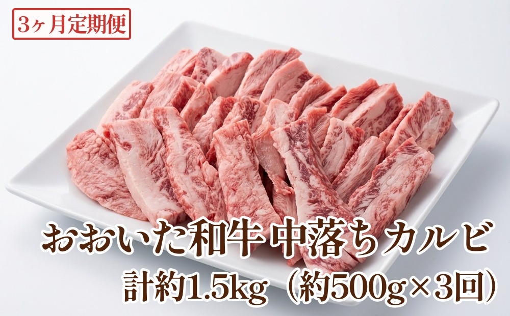 
                  【3カ月定期便】 おおいた和牛 中落ちカルビ 約500g 計約1.5kg
                