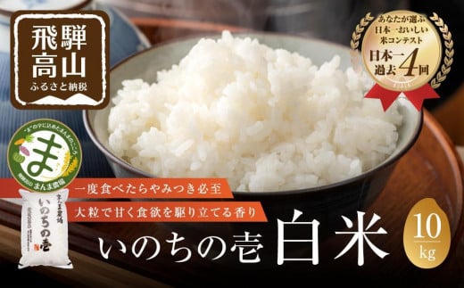 【令和7年度産 新米】飛騨いのちの壱 10kg 特別栽培米 |  金賞受賞農家 品種別金賞 日本一４度受賞 飛騨 まんま農場 LT013VC13
