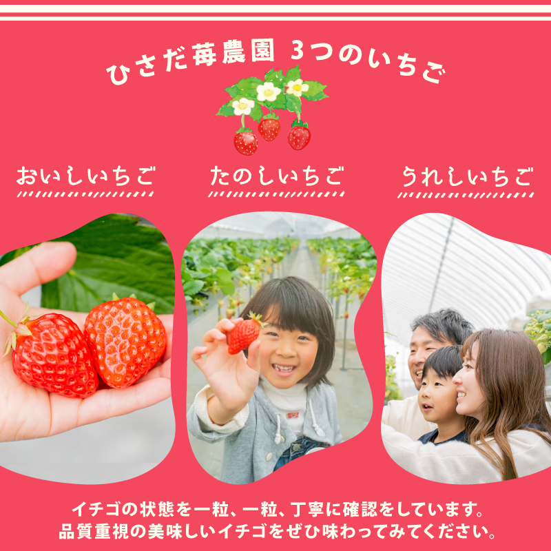 いちご ジャム 2個 詰め合わせ レモンピール イチゴ 苺 果物 スイーツ デザート フルーツ アイス いちごジャム シャーベット ベリー トースト パン 朝食 朝ご飯 甘い オススメ 人気 滋賀県 