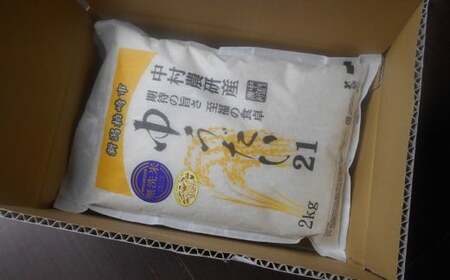 先行予約【令和8年産新米・10ヶ月定期便】 ゆうだい21 無洗米 4kg（2kg×2袋）×10回（計 40kg）中村農研 [Y0543]