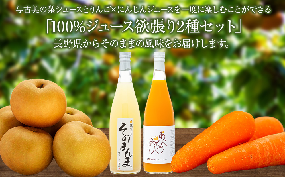 与古美の100％ジュース2種（梨、りんご×にんじん）セット 各3本(計6本)　梨「南水」ジュース　りんご×にんじんジュース　長野 飲料ドリンク 果汁飲料 フルーツジュース フルーツ 果物 信州産 長野