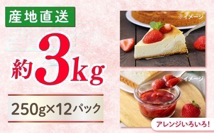 かおりの いちご 3kg