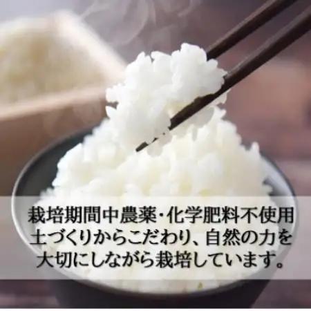 栽培期間中農薬・化学肥料不使用　こしひかり　玄米 5kg×6袋(30kg)【1735092】