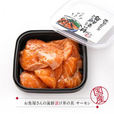 ふるさと納税 福井市 海鮮漬け丼の具 福井サーモン / 120g×2パック(2〜4食分) |  | 03