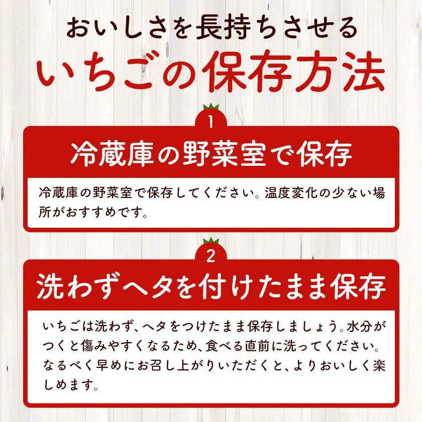 【3ヶ月定期便】いちご 栃木県芳賀町産 とちあいか 2パック 岩崎いちご園