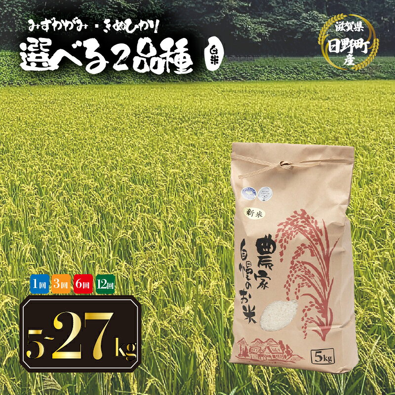 【ふるさと納税】 令和8年産 新米 選べる 【 品種 容量 お届け回数 】 みずかがみ きぬひかり 5kg 10kg 27kg 白米 定期便 3ヶ月 6ヶ月 12ヶ月 米 白米 2026年産 国産 滋賀県 日野町 農家直送 お米 精米 おこめ こめ 産地直送 ふるさと納税 スーパーセール お買い物マラソン