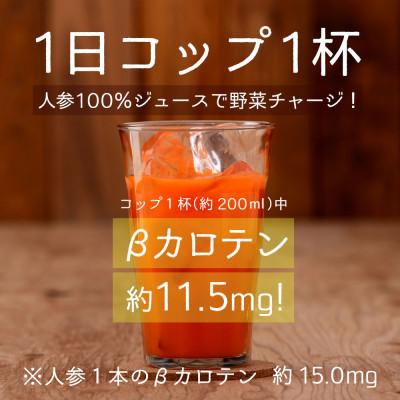 ふるさと納税 松川町 順造選 元気モリモリにんじんジュース 人参汁100% 500ml×12本 |  | 02