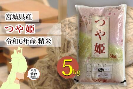 【宮城県産 つや姫】令和6年度産 精米 5kg（5kg×1袋） 白米 白米 白米 白米 白米 白米