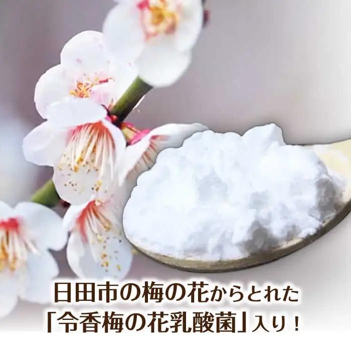 【お中元対象】発酵ジュースのもと〈日田うめ〉 110ml×5本 ジュース うめ ウメ 梅 果実飲料 [ARDA004]
