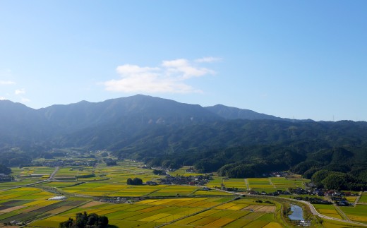 【6ヶ月定期便】元気つくし