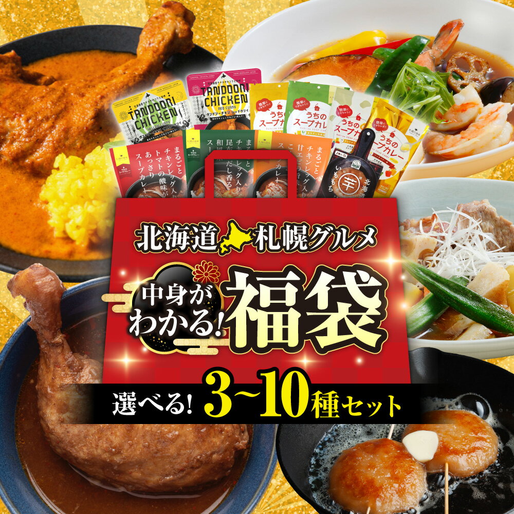 【ふるさと納税】 中身が分かる！ 福袋 札幌 スープカレー 【 選べる セット 】チキンレッグ あっさり トマト 昆布だし 和風 濃厚 エビ タンドリー チキン リッチバター まろやか うちのスープカレー プレミアム カレー お取り寄せ 北海道 札幌市