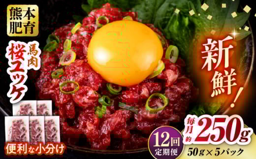 【全12回定期便】馬肉 さくらユッケ 50g×5パック 計250g お肉 桜ユッケ 赤身 生食 小分け 冷凍【五右衛門フーズ熊本店】 [AYBV018]