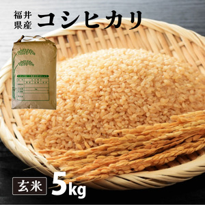 福井県産 コシヒカリ 玄米 5kg（5kg×1）＜令和7年産 新米 / 数量限定 ＞【米 コメ お米 精米 白米 無洗米 玄米 ご飯 飯 こしひかり ブランド米 国産】[095-a011_B] 