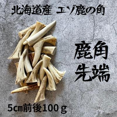ふるさと納税 帯広市 鹿の角 枝先5cm前後100gセット 北海道産 アクセサリー クラフト材