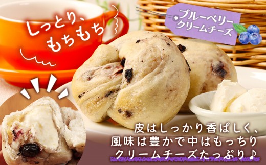 トモヱベーグル「クリームチーズブルーベリー」10個セット