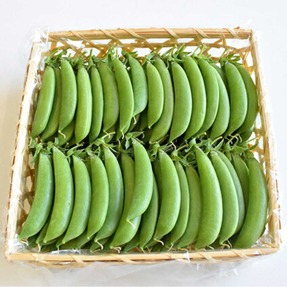 【ふるさと納税】【2026年4月下旬より順次発送】和らぎ農法 豆まめ まんぷく便 （栽培期間中、農薬・化学肥料・動物性堆肥不使用）/ スナップエンドウ　セット 詰め合わせ 新鮮 野菜 旬 / 滋賀県 栗東市 / ワダケン リアルソイルハウス[BIBM003]