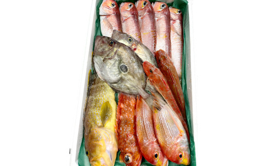 その時季その時季の旬の鮮魚を詰め合わせて発送致します。