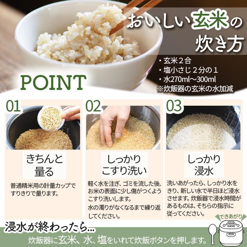 [定期便3回]矢板市特別栽培米 にじのきらめき 玄米 2kg | お米 米 こめ 白米 玄米 にじのきらめき コシヒカリ こしひかり 美味しい お弁当 選べる エコ スマート 環境 手間暇 土づくり 