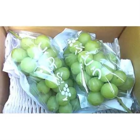長野県中野市産ぶどう・シャインマスカット秀品 1kg箱 2房入り【配送不可地域：離島】【1494255】