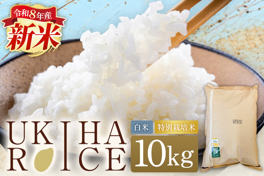 米 白米 精米 UKIHA RICE 10kg 特別栽培米 ヒノヒカリ 令和8年産 新米 こめ ご飯 コメ ごはん 国産 国産米 福岡 お弁当 おにぎり 家庭用 ギフト プレゼント 仕送り お取り寄せ