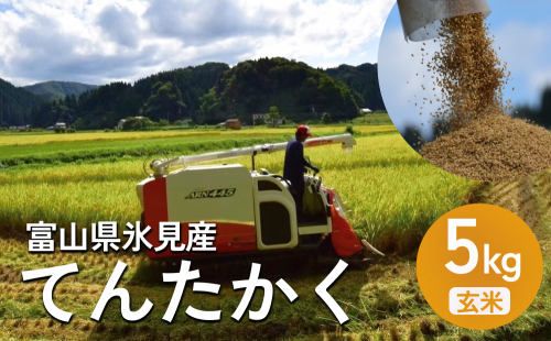 ＜先行予約＞令和7年産 富山県氷見産 てんたかく 玄米 5kg ＜2025年9月以降順次発送＞ 富山県 氷見市 米 てんたかく