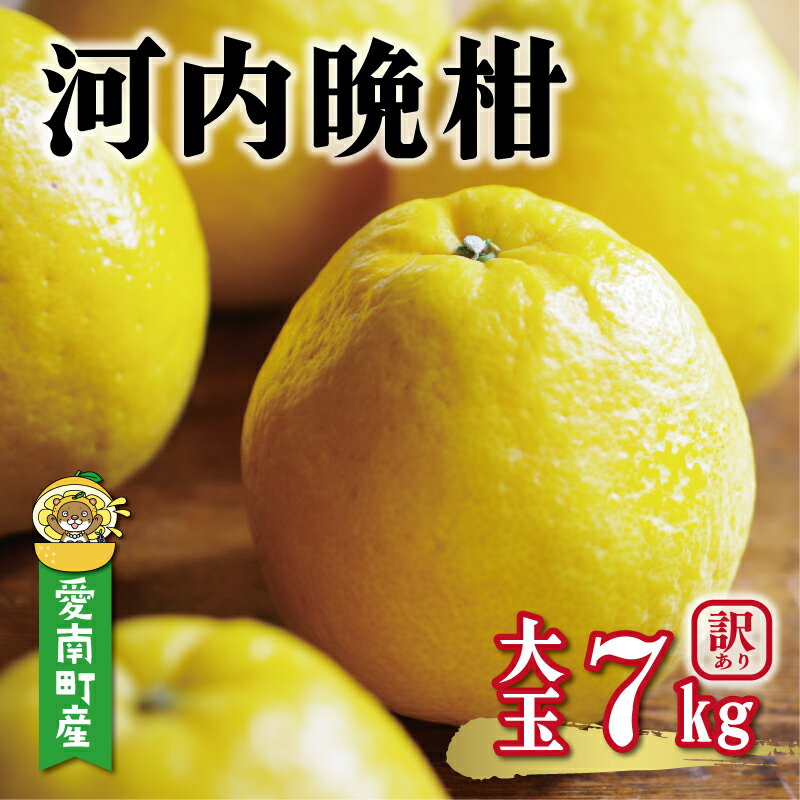 【ふるさと納税】 先行予約 訳あり 河内晩柑 大玉 7kg 7000円 みかん かわちばんかん 愛南ゴールド あいなん ゴールド 美生柑 文旦 グレープフルーツ 和製 産地直送 国産 特産品 ゼリー ジュース 等に 人気 限定 甘い フルーツ 果物 柑橘 蜜柑 規格外 愛媛県 愛南町 塚岡農園