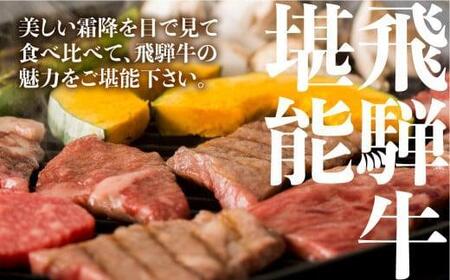 飛騨牛 焼肉 6種食べ比べ (100g×6）焼肉|牛肉 FH017-CP01 FN-Limited-PR