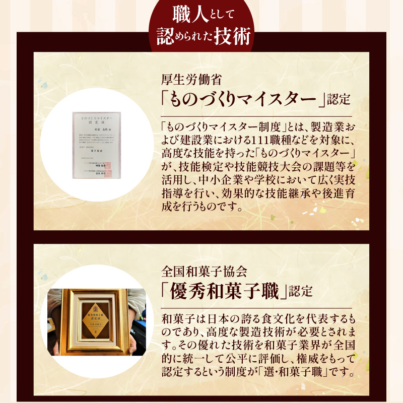 【蒸しどら プレーン 10個入 】和三盆 どら焼き 餡 ふわふわ しっとり食感 H181-004