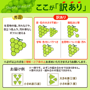 【訳あり 令和7年産】 ぶどう シャインマスカット 約1.8kg(3～5房) 山形県河北町産【山形eLab】ka074-021