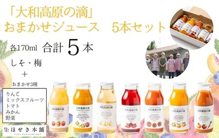 ほせき本舗　「大和高原の滴」おまかせジュース5本セット【hbk001】