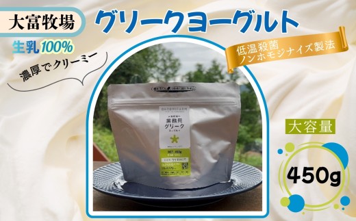 大富牧場のグリークヨーグルト 450g / 佐賀県 /大富牧場フライングカウ  [41ANAG005]