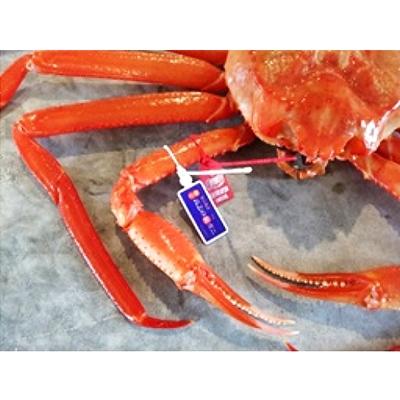 ふるさと納税 射水市 【極上】高志の紅ガニ(孫七タグ付1kg以上) |  | 01