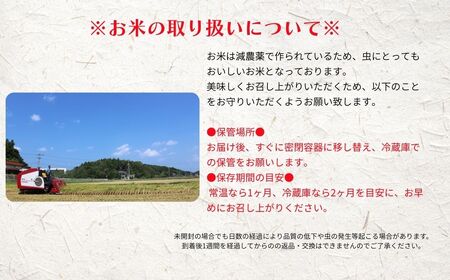 【定期便4ヵ月】計20kg！令和7年度新米 きぬむすめ 5kg×4か月定期便 お米 新米 精米 白米 弁当 ごはん ご飯 きぬむすめ