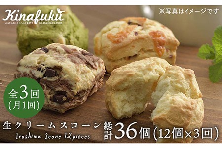【全3回定期便】スコーンのイメージ変えてみませんか？定番スコーン12個セット 《糸島》【キナフク】[AFA013] 洋菓子 卵不使用 スコーン お菓子 個包装 セット スイーツ詰め合わせ スイーツ 焼菓子スイーツ 焼き菓子スイーツ スイーツセット 焼き菓子洋菓子 焼き菓子卵不使用 焼き菓子スコーン 焼き菓子お菓子 焼き菓子ご家庭用 焼き菓子個包装 焼き菓子セット 焼き菓子詰め合わせ 焼き菓子人気 焼き菓子定期便 洋菓子 焼き菓子 卵不使用 スコーン お菓子 自宅用 個包装 セット 詰め合わせ