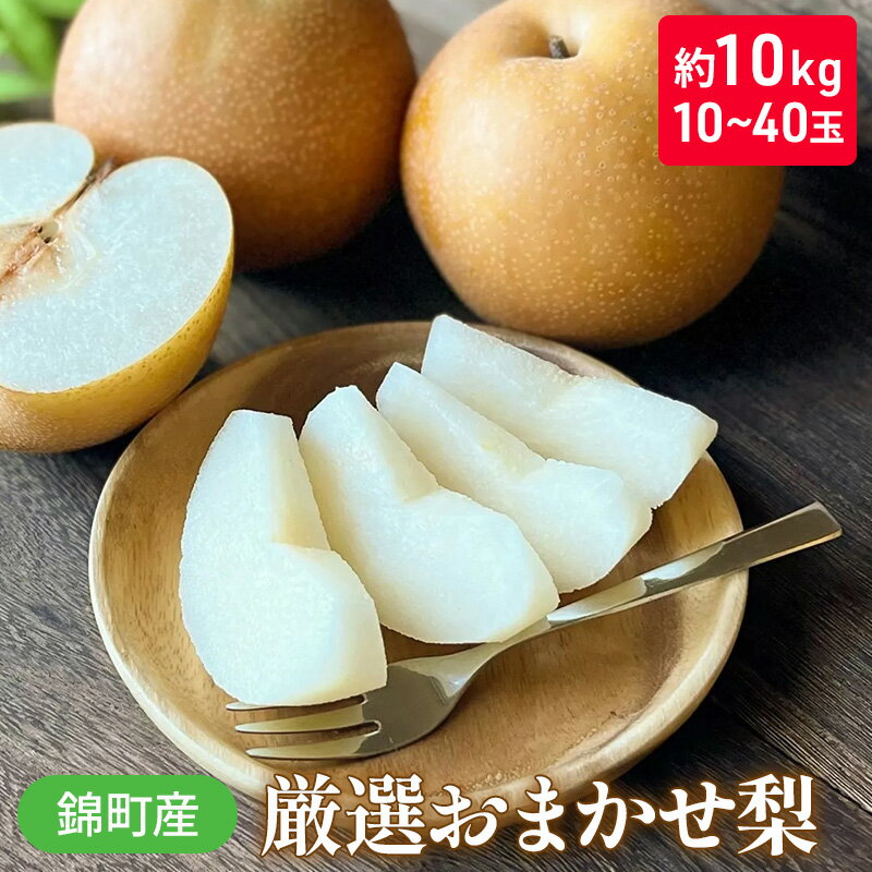【ふるさと納税】梨 おまかせ 約10kg 豊水・秋月・新高などから最も旬の梨を厳選 錦町産 10～40玉 なし ナシ 果物 くだもの デザート フルーツ ※配送不可：離島 　お届け：2026年8月上旬より順次発送