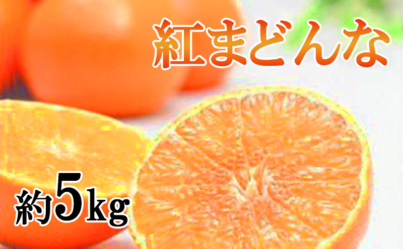 
            【先行予約】【家庭用】ご家庭用 紅まどんな 約5kg(L～4L) みかん 柑橘 ブランド まどんな 愛媛県 松山市
          