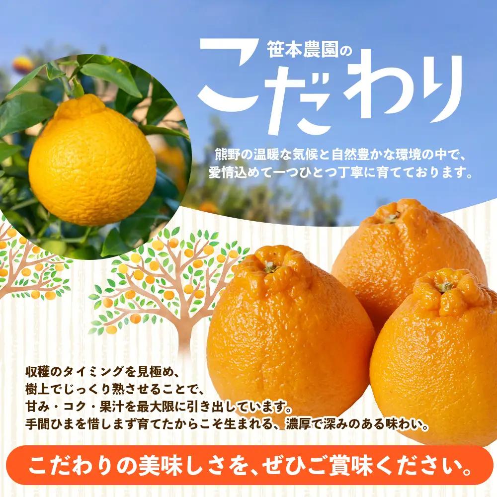 不知火 笹本農園の不知火 約5kg サイズ混合 みかん【ssmt0001】