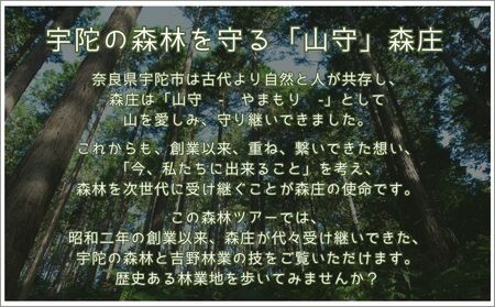 100年生の 森林ツアー ＆ 伝統木工体験 inうだ 2025夏／ 体験 関西 子供 親子 チケット 森林浴 ハイキング 木工体験 伝統工芸 林業 夏休み 宿題 MORITO 森庄 森庄銘木産業 奈良