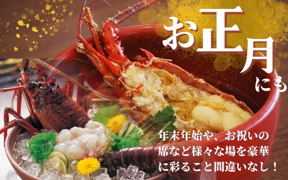 ＼期間限定・数量限定／ 南紀すさみの活き伊勢海老 約1kg(2匹)【日付指定必須】伊勢海老 伊勢エビ イセエビ 海老 えび エビ 活き 天然 すさみ町【eki109A】
