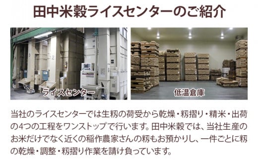 【令和7年産】 福岡県 大木町産 元気つくし 5kg　BC02-2