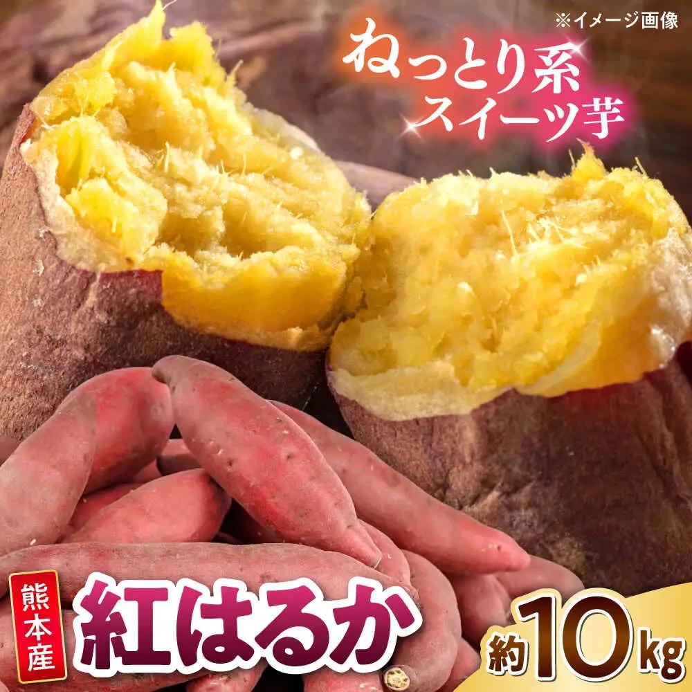 紅はるか さつまいも 秀品 約10kg S?2Lサイズ混合 さつまいも[AYAT005]
