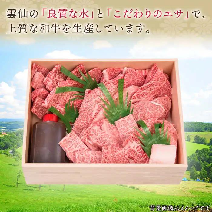 長崎和牛 上焼き肉 ４種 詰め合わせ セット 約920g 牛肉 食べ比べ 九州 長崎 佐々町 ふるさと納税 おすすめ 牛肉 食べ比べ[QBI005] 