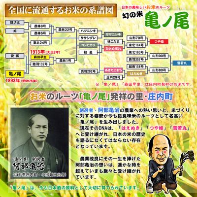 ふるさと納税 庄内町 ＜6月中旬発送＞庄内米6か月定期便!はえぬき 10kg(入金期限:2025.5.25) |  | 02
