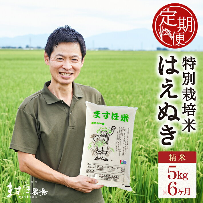 【ふるさと納税】≪新米予約≫ ≪6ヶ月定期便≫ 特別栽培米 はえぬき 精米 5kg×6ヶ月連続 計30kg 山形県酒田産 ご希望期間の毎月中旬頃お届け 米 お米 白米 庄内米 東北 酒田市 庄内地方 庄内平野