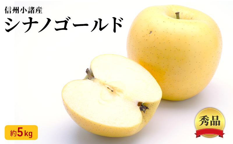 シナノゴールド 秀品 約5kg 長野県産 果物類 林檎 りんご リンゴ フルーツ 小諸市