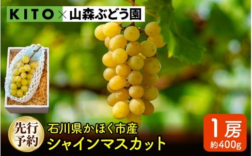 【先行予約 令和8年産】「シャインマスカット」400g×1房 石川県かほく市産【2026年8月下旬より順次発送予定】| フルーツ 果物 ぶどう ブドウ 石川県 数量限定 400グラム 山森ぶどう園 高糖度 甘い 季節の果物 無袋栽培 自然栽培 