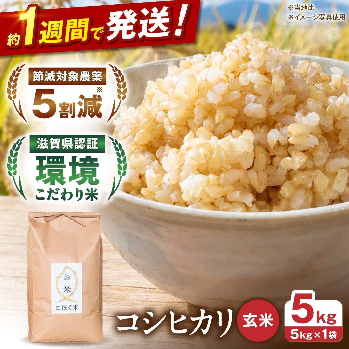 【令和8年産 新米】玄米 コシヒカリ 5kg[AQAK001]玄米