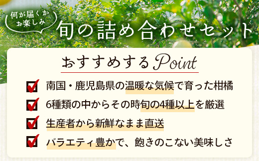 【数量限定】おたのしみ！旬の柑橘詰め合わせセット(４種約５kg) NK-4｜果物 柑橘 大将季 ぽんかん スイートスプリング 津之輝 麗江 サワーポメロ 南大隅町 産地直送 詰め合わせ 5kg 国産 