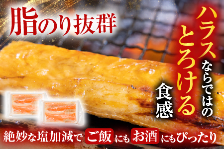 スモークサーモン12～20P(計3kg)＆塩サーモンハラス220g×20P D-09039